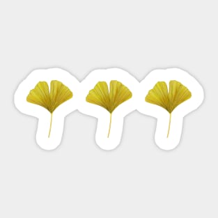 3 Yellow Ginkgo Leaves Sticker
